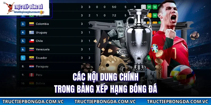 Các nội dung chính trong bảng xếp hạng bóng đá